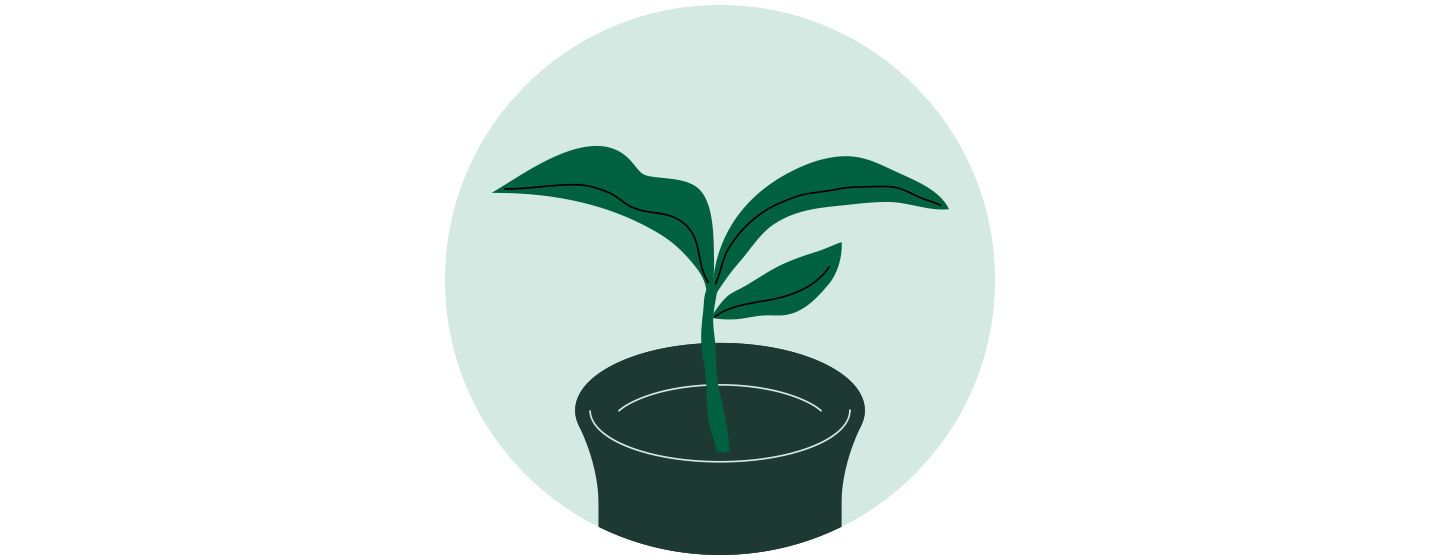 Illustration of a small plant in a container with three leaves sprouting upward